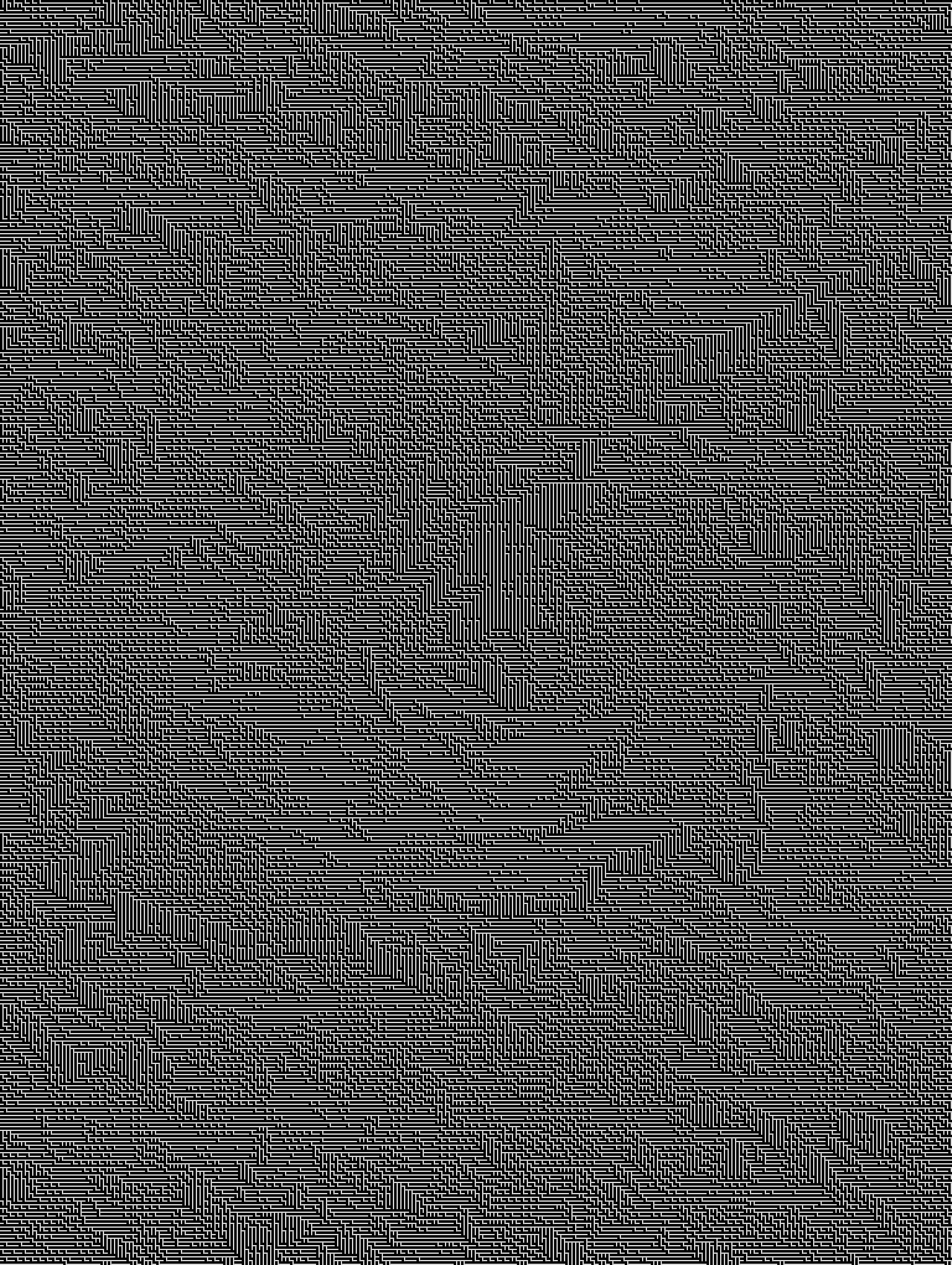 Generated maze whose walls follow the contours of the rose photograph